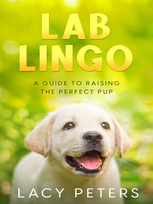 cover image of Lab Lingo